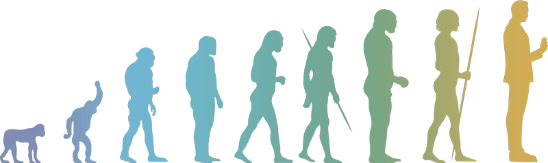 Evolution: from chimp to human