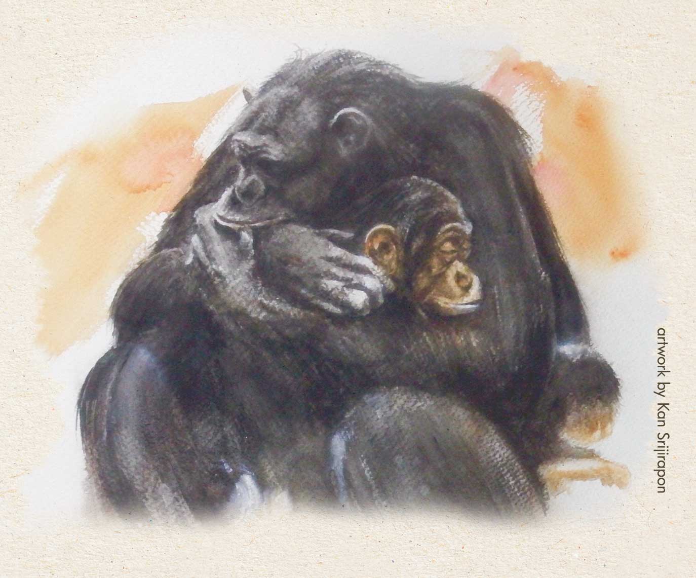 Monkeys in embrace